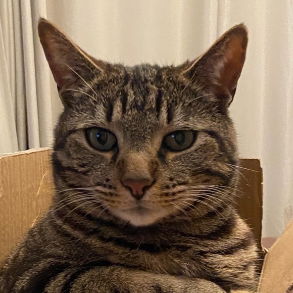 finnwilhelm